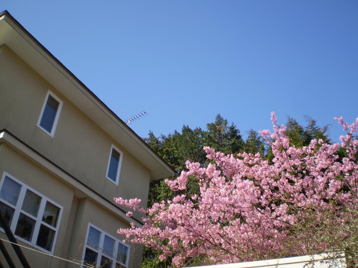 Chiisana Hotel Hanaikada Itō Extérieur photo