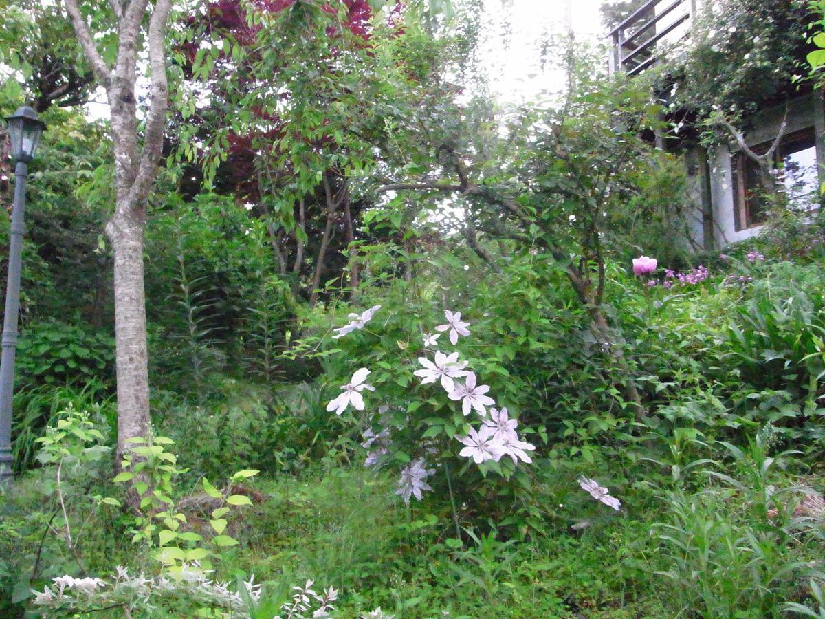 Chiisana Hotel Hanaikada Itō Extérieur photo