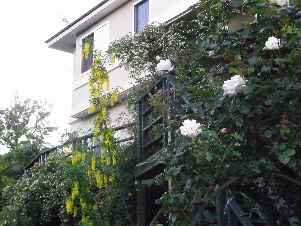 Chiisana Hotel Hanaikada Itō Extérieur photo